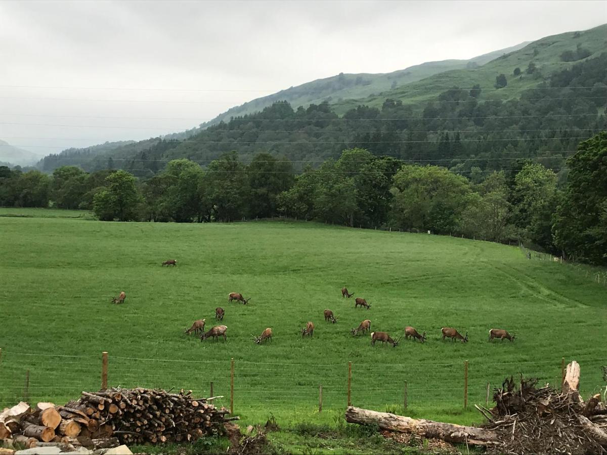Lochay Lodges Киллин Экстерьер фото
